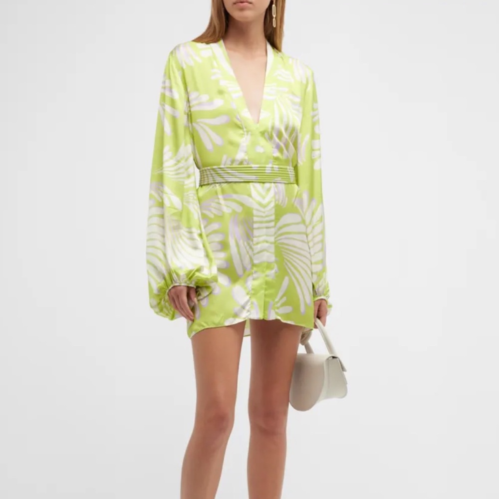 NWT Alexis Karine Dress